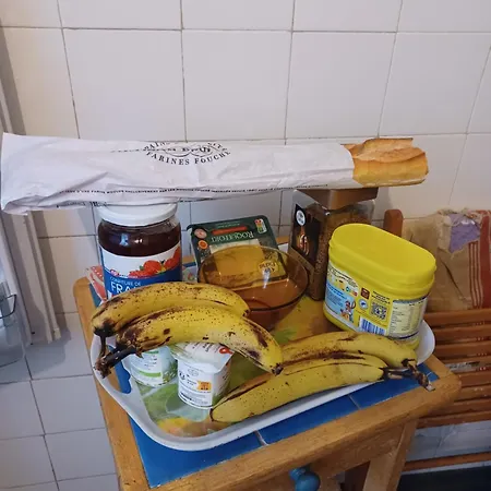 民宿 Transit 帕莱索